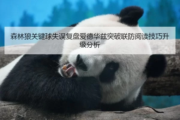 森林狼关键球失误复盘爱德华兹突破联防阅读技巧升级分析