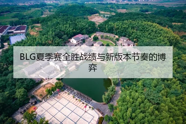 BLG夏季赛全胜战绩与新版本节奏的博弈