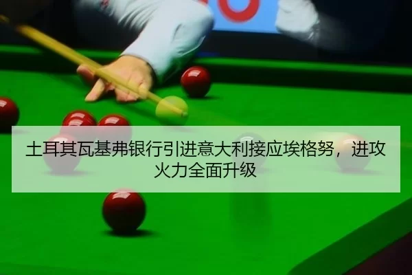 tu-er-qi-wa-ji-fu-yin-hang-yin-jin-yi-da-li-jie-ying-ai-ge-nu-jin-gong-huo-li-quan-mian-sheng-ji-2-446.jpg