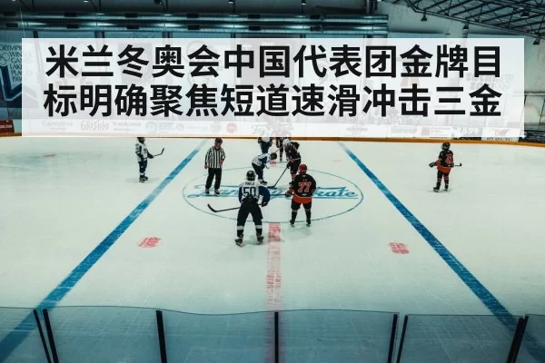 winter olympics ice rink