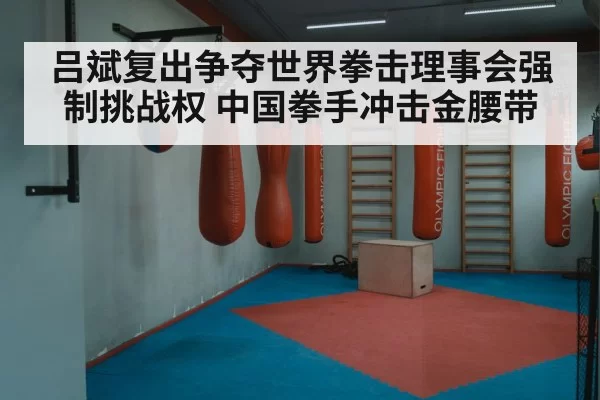 吕斌复出争夺世界拳击理事会强制挑战权 中国拳手冲击金腰带