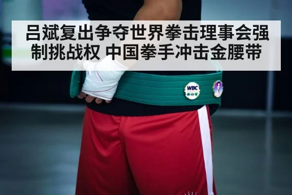 boxing champion belt