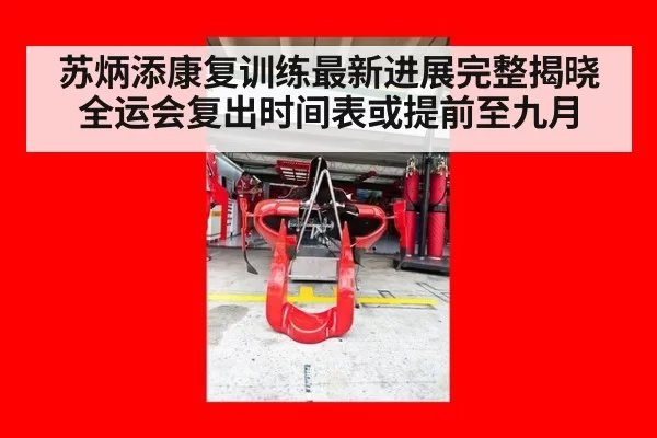 苏炳添康复训练最新进展完整揭晓 全运会复出时间表或提前至九月